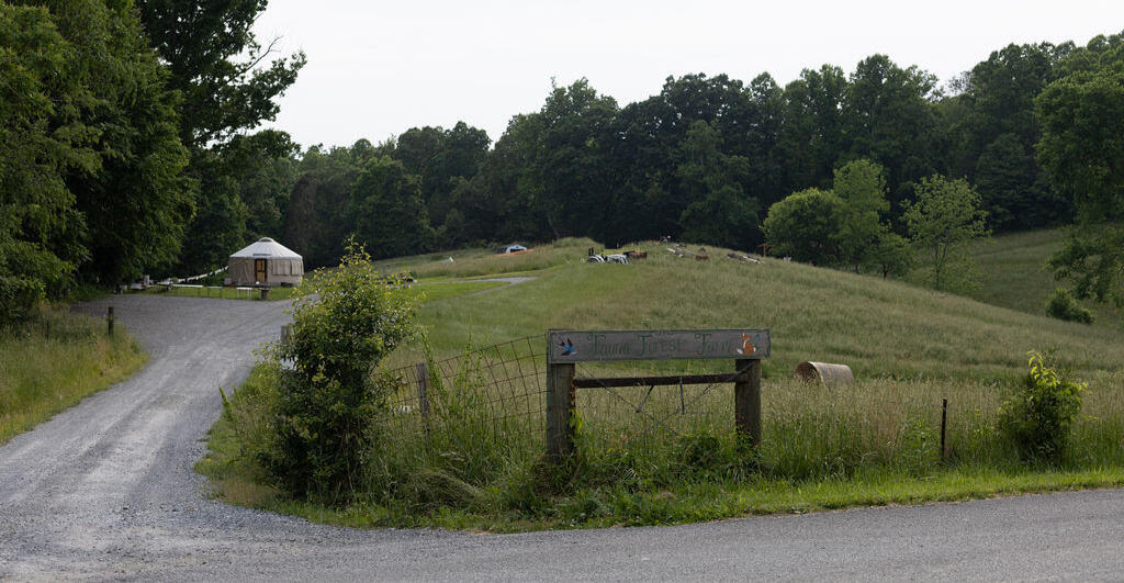 Fauna Forest Farm in Jonesborough Tennessee serving Johnson City and surrounding areas.