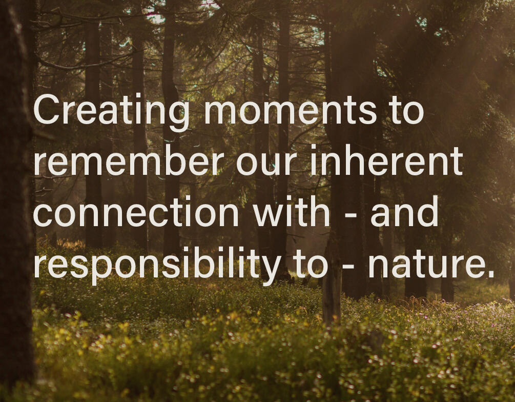 Get involved with local non-profit Nature Connection Access Fund to expand access to nature education and experiences for all ages!